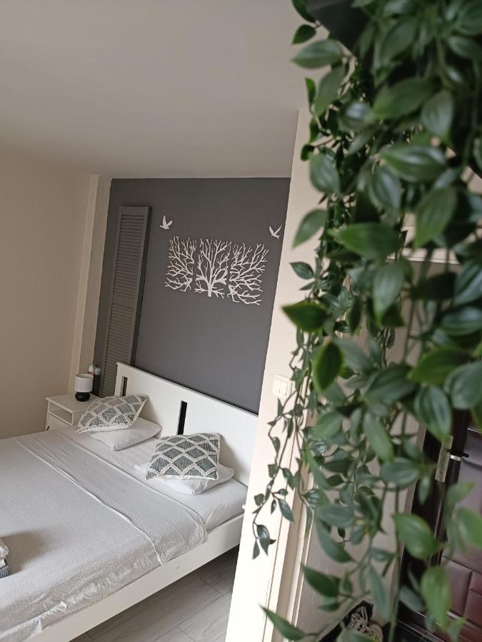 Old Town Within Apartment Bukares Bagian luar foto